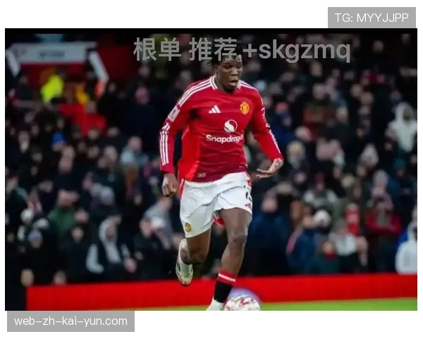 富勒姆客场三比一击败桑德兰 积分升至三十七分